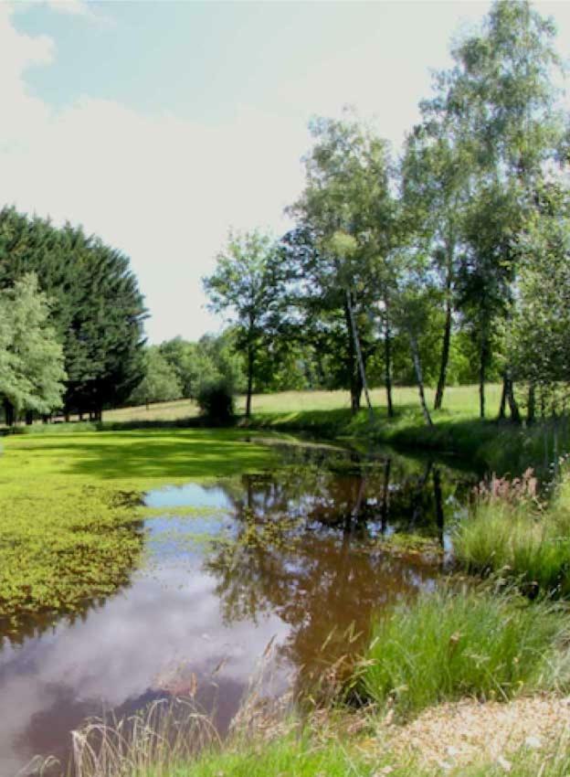 Domaine Des Grandes Landes Villa Saint-Paul-la-Roche Exteriör bild